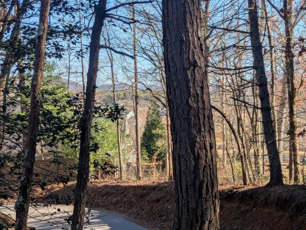 Other - Ivy Log Drive, Blairsville, GA