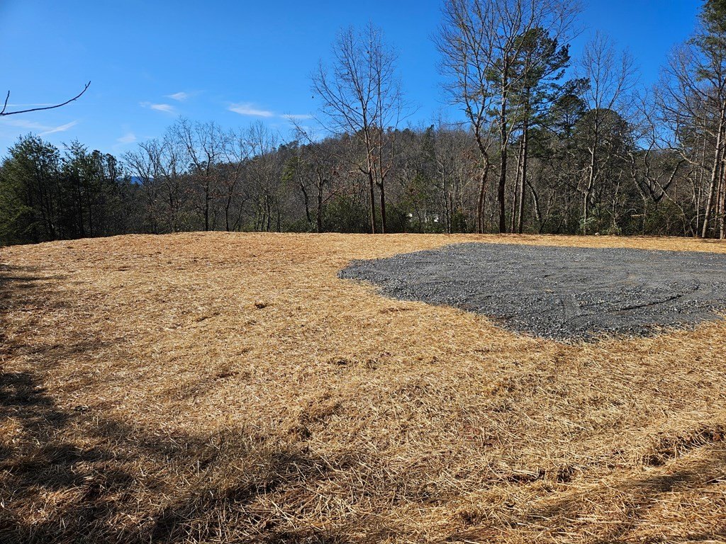 Other - Roland Rickman Road, Franklin, NC