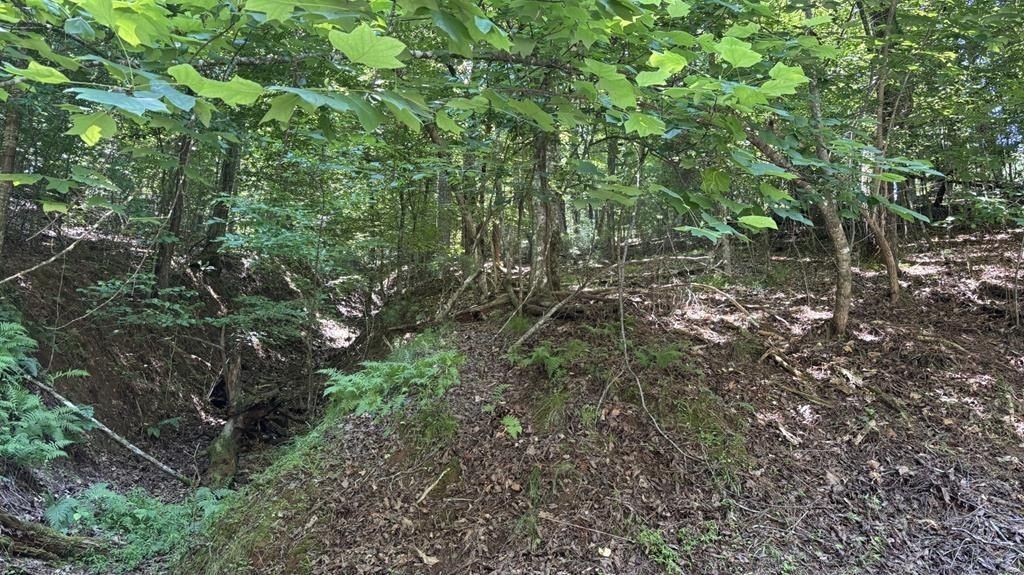 Other - Optic Court lot: 1178, Ellijay, GA