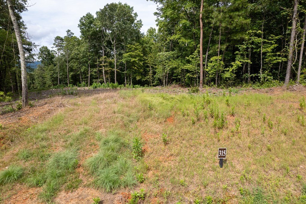 Other - Lot 315 Pebble Trace, Talking Rock, GA