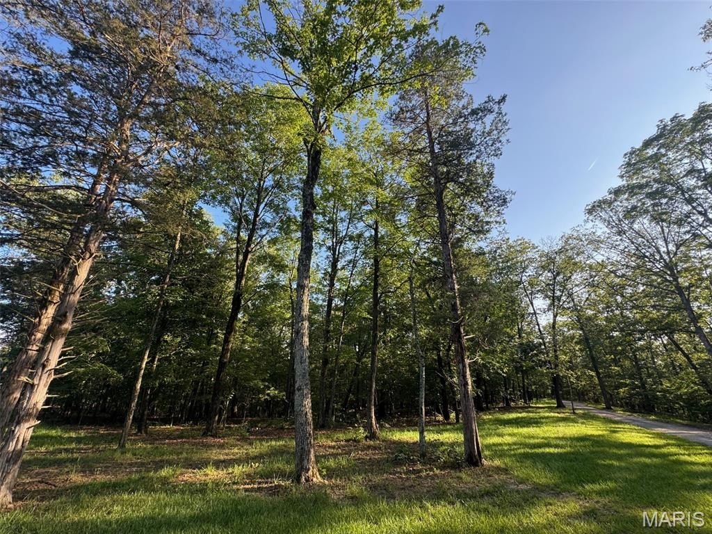 Other - 160 Steeple Point DR. Lot #9, Defiance, MO