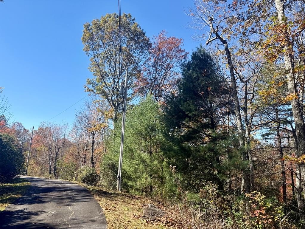 Other - Stone Cliffs Ln lot: 3,2, Cashiers, NC