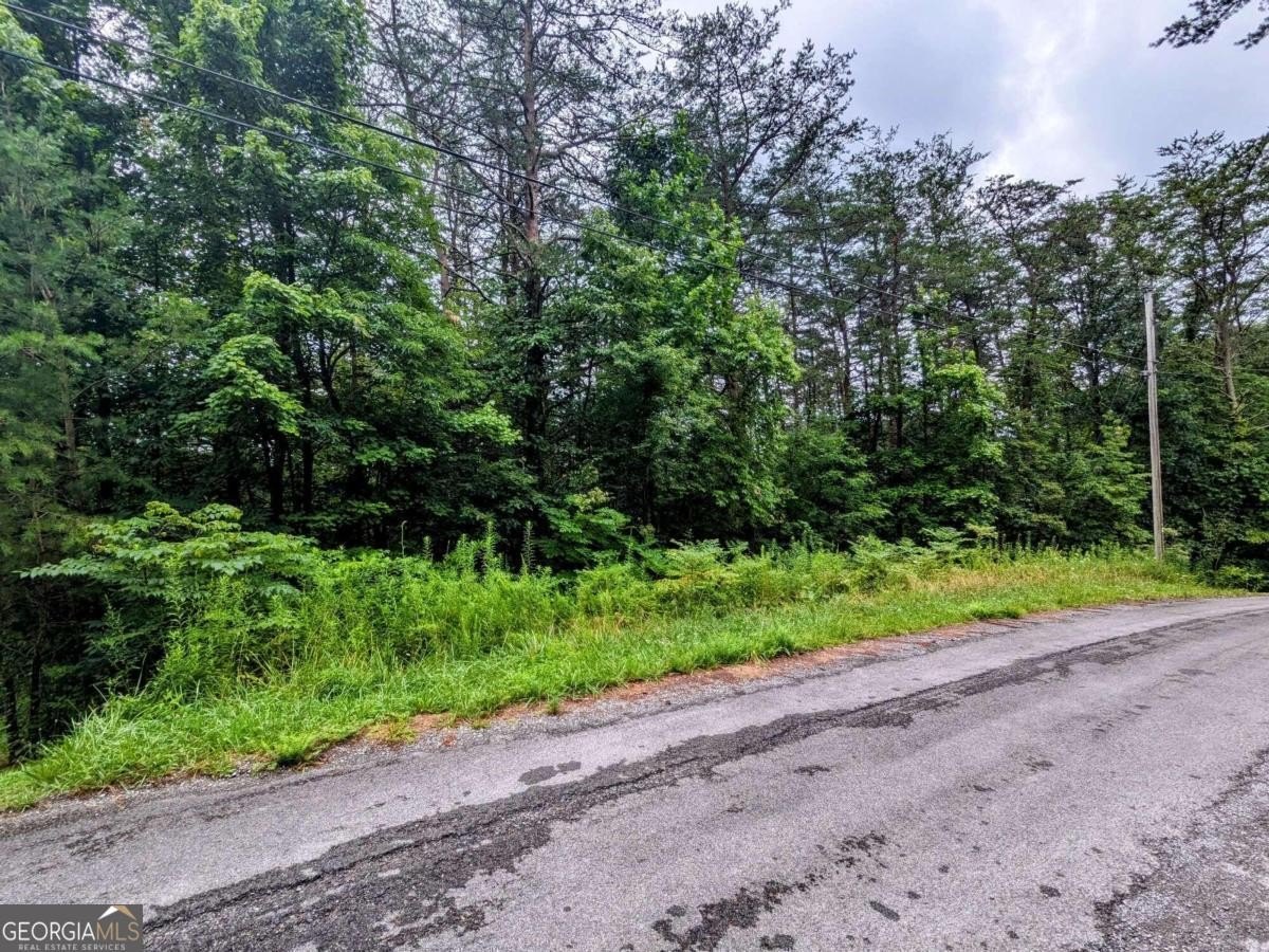 Other - Lakeview Drive lot: 32, Turtletown, TN