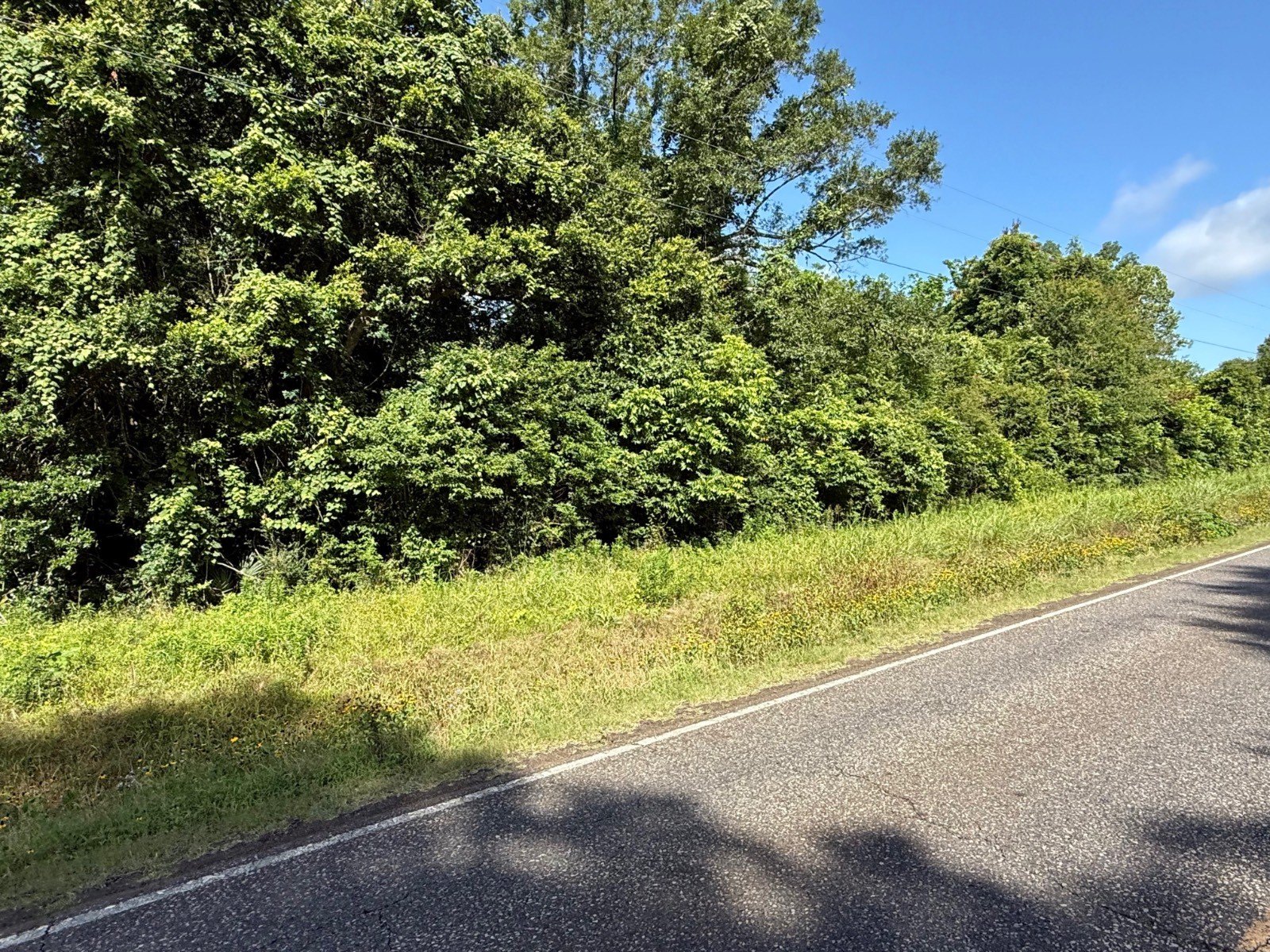 Other - HWY 71, Bunkie, LA