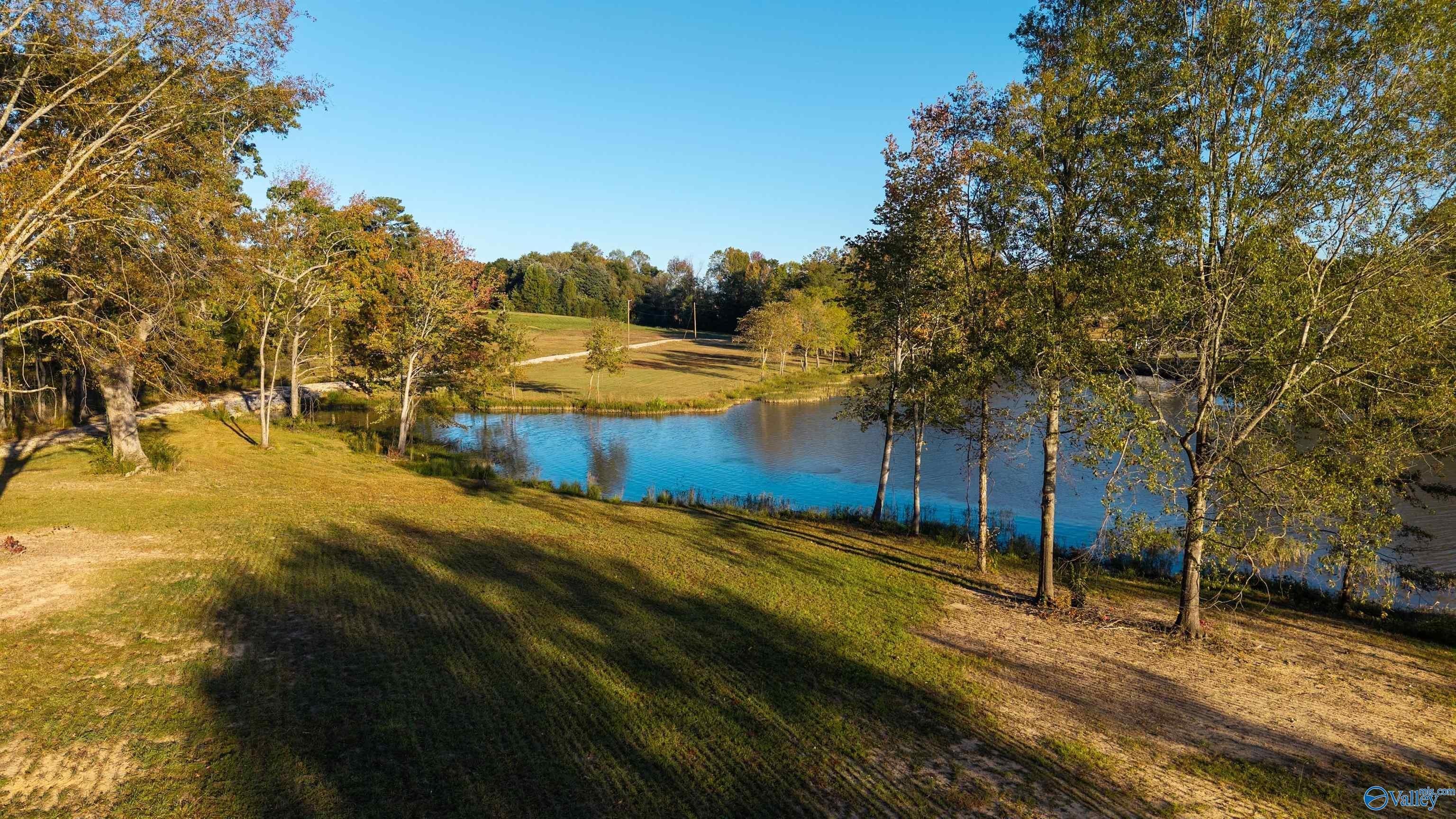 Other - County Road 115 lot: 22, Cedar Bluff, AL