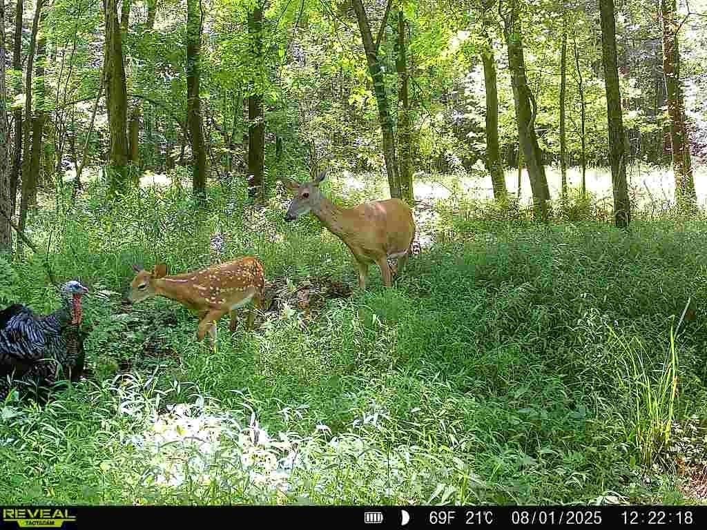 Other - SR 258, Grove City, PA