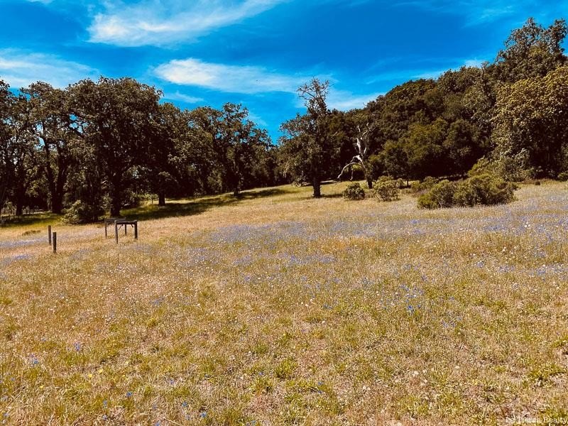 Other - 34221 Robinson Canyon RD, CARMEL, CA