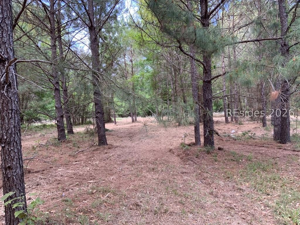 Other - 41 Pearl Harbor Lane, Saint Helena Island, SC