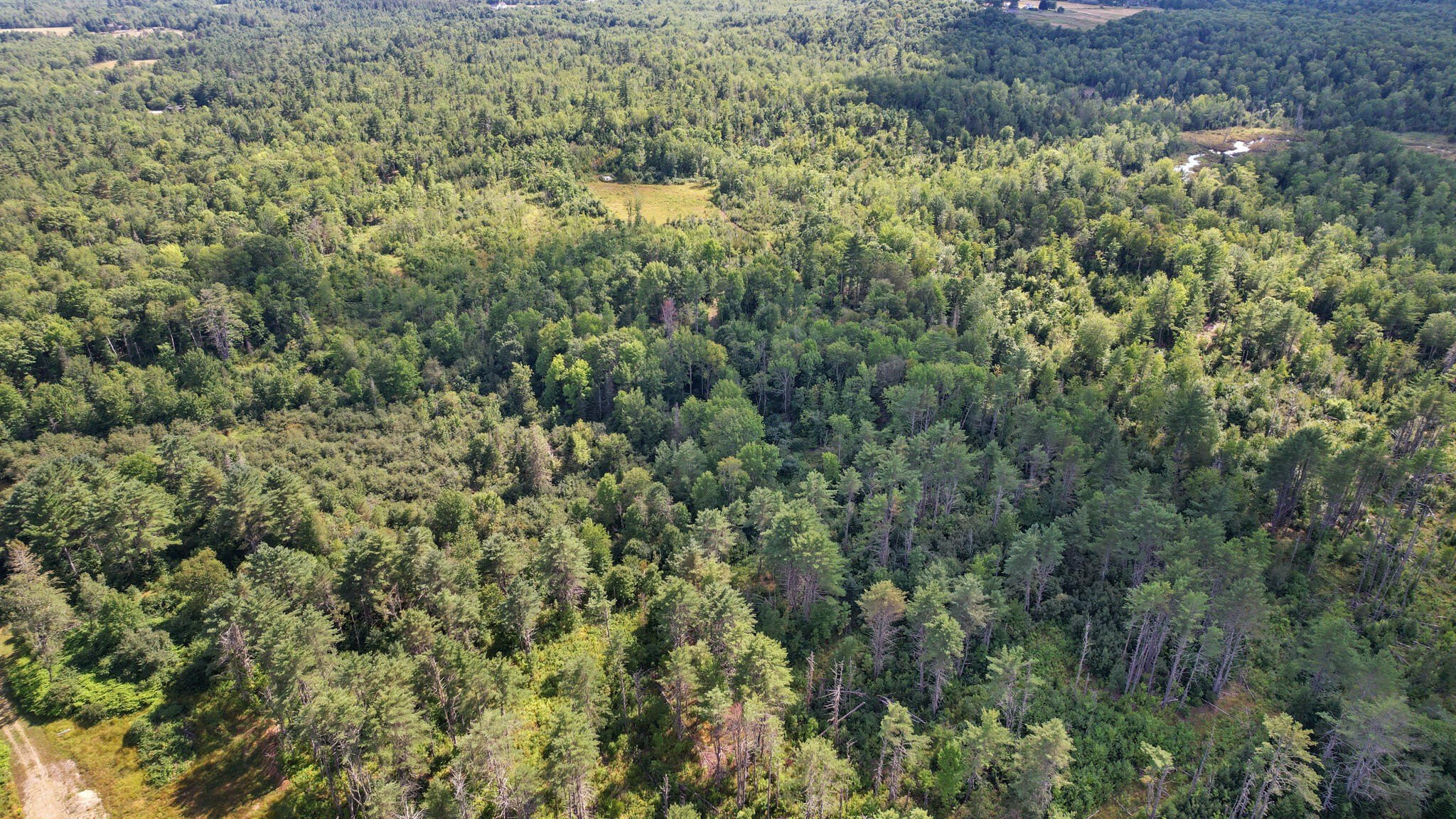 Other - Map1Lot41 Partridge Road, Hampden, ME