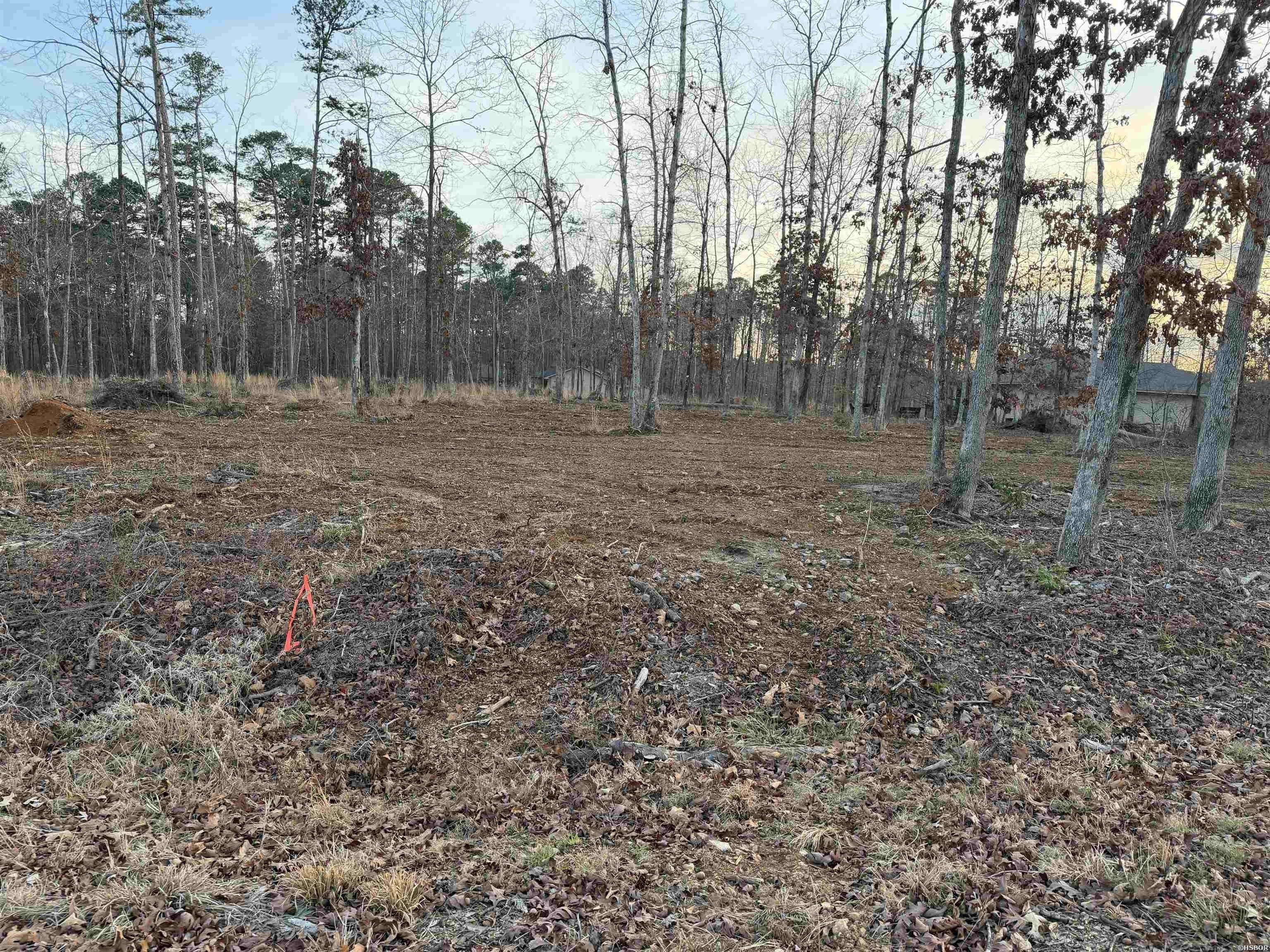 Single Family - 000 BURGOS Way, Hot Springs Village, AR