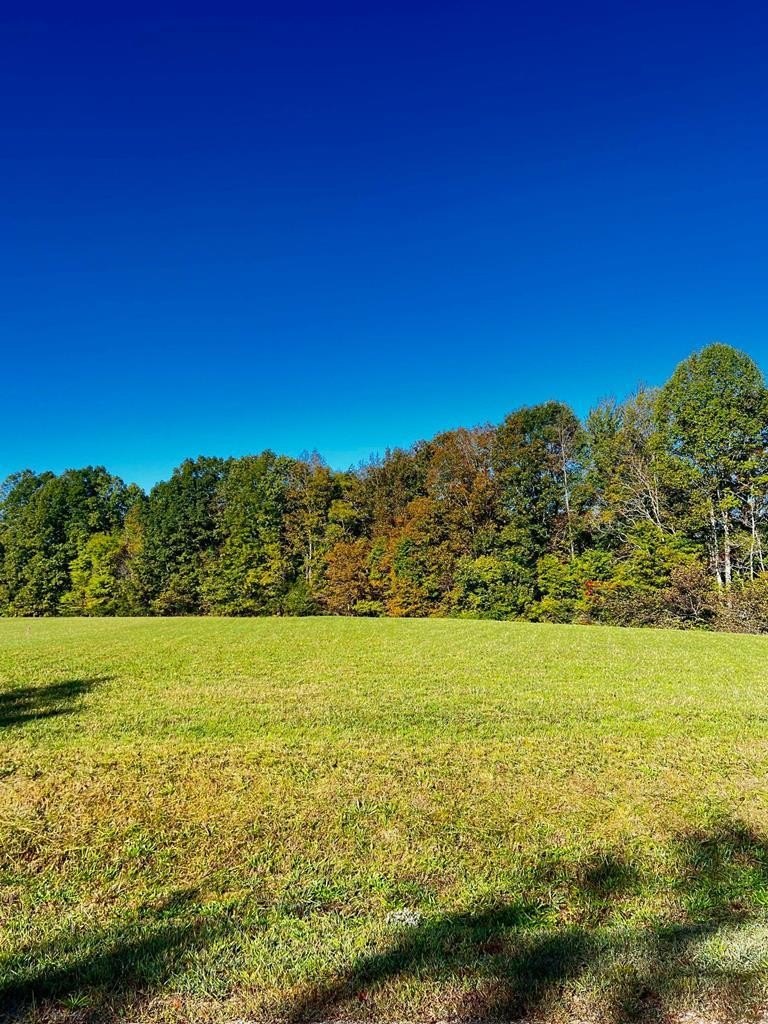 Other - Goff Ridge Rd. lot: 2, Baxter, TN