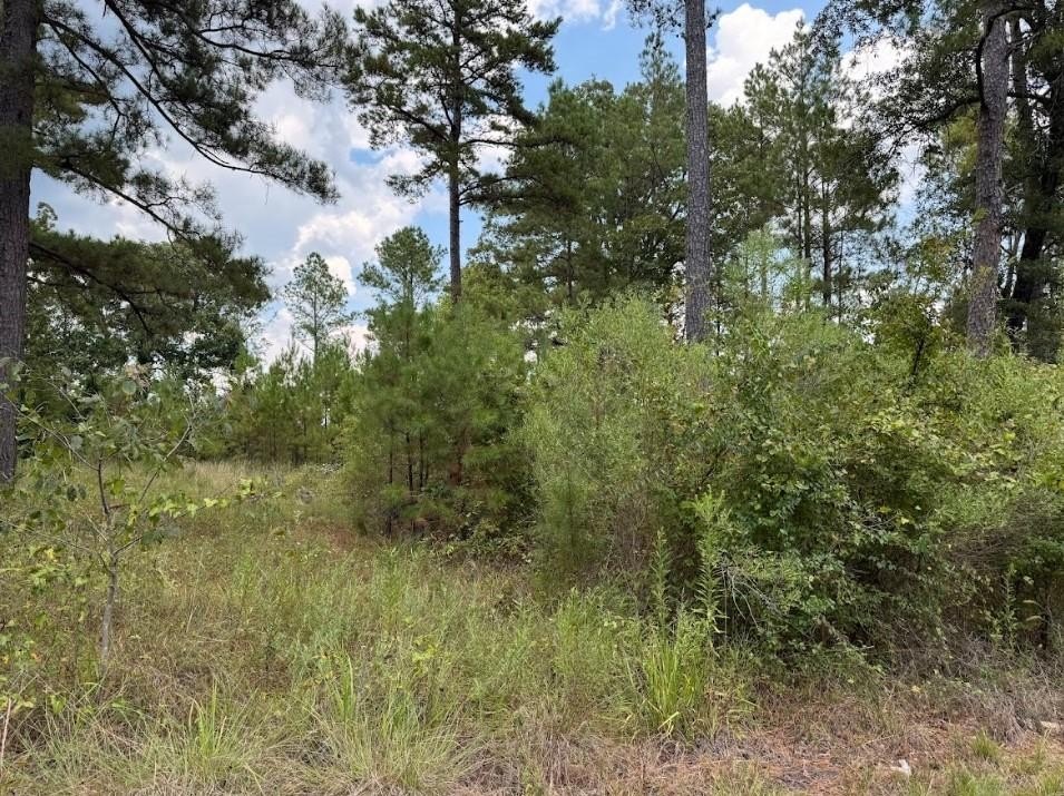 Plots and Land - 0 Hwy 157, Benton, LA