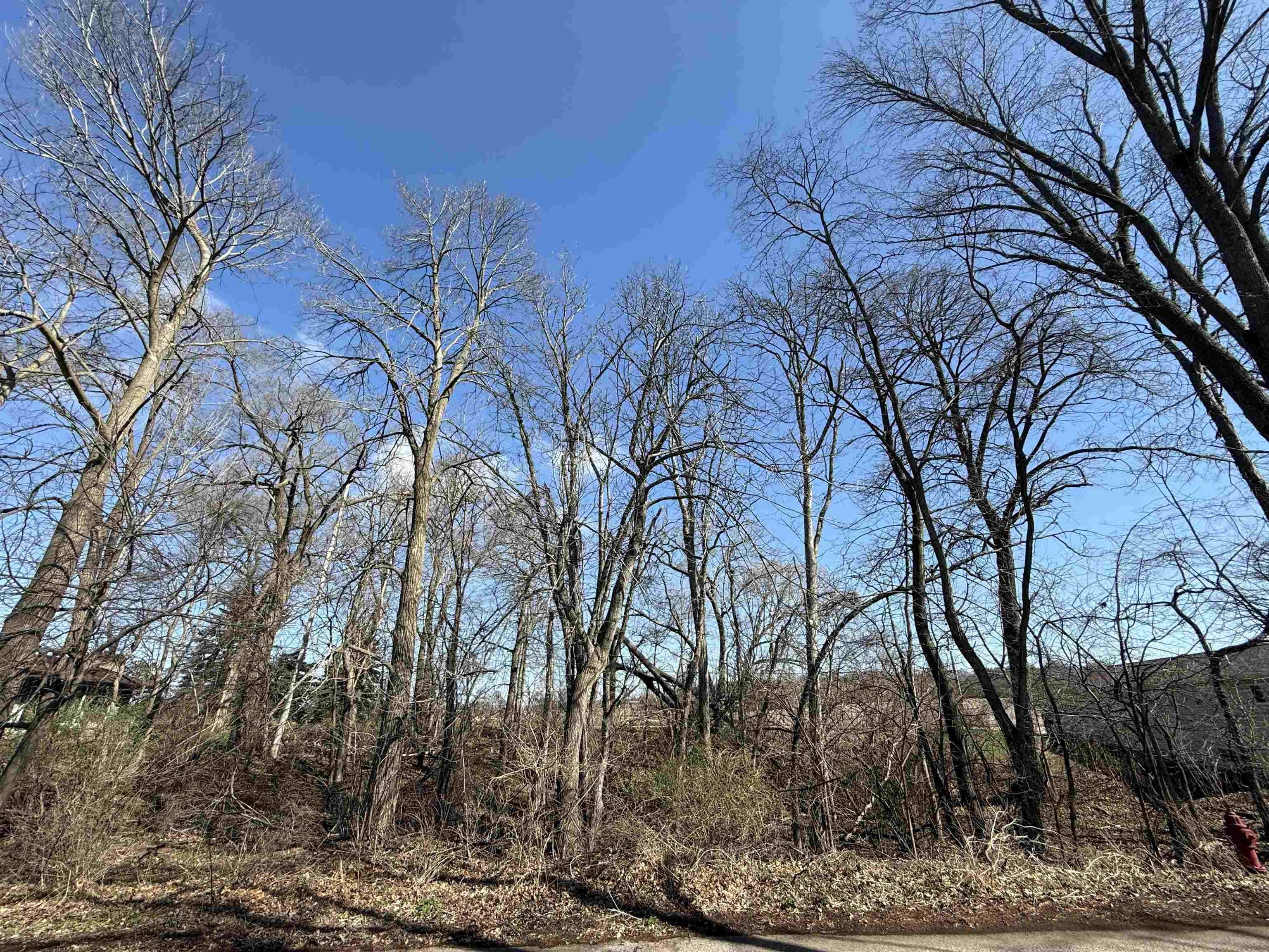 Other - Lots 1 & 2 Breezy Point Drive, Pardeeville, WI