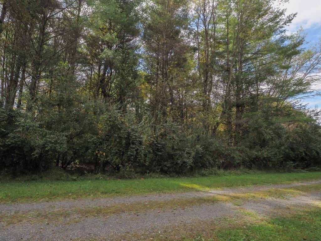 Other - Blue Lake Ln (Lot #36) lot: 36, Laurel Fork, VA