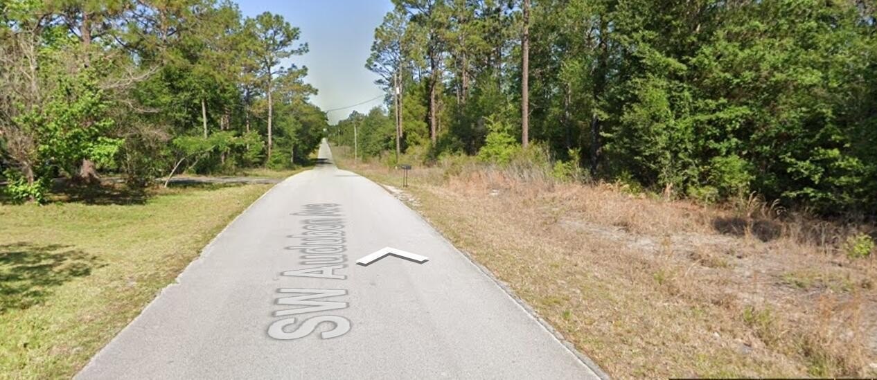 Plots and Land - 20313 SW Audubon Avenue, Dunnellon, FL