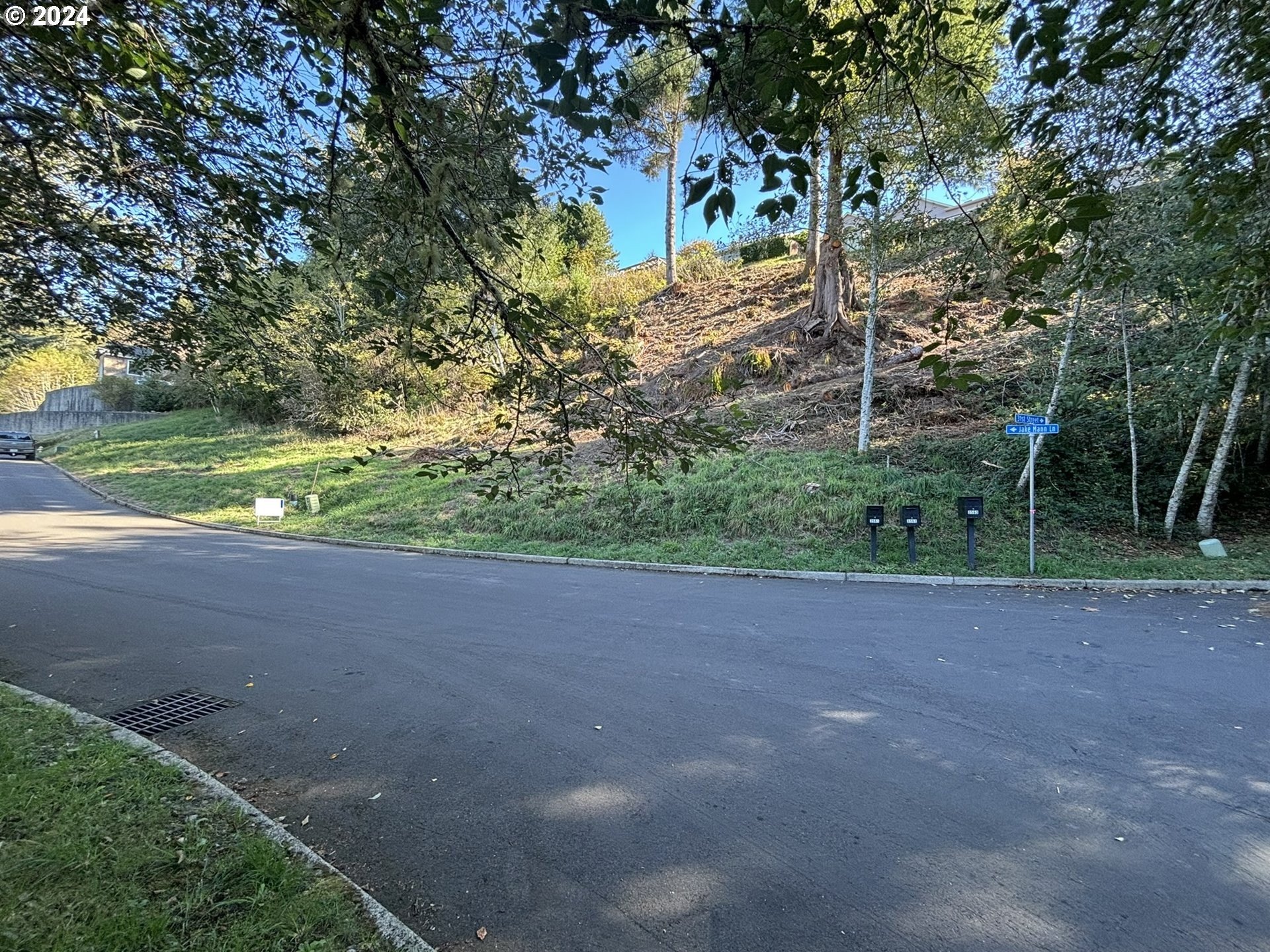 Single Family - JAKE MANN Ln, Florence, OR