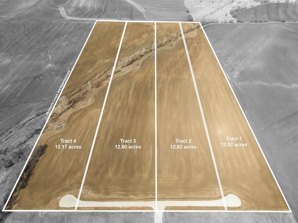 Plots and Land - Tbd Tract 4 St Hwy 22, Hillsboro, TX