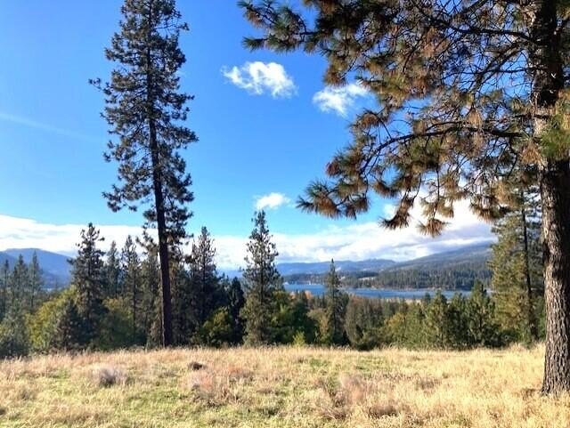 Other - 1353 LAKE ROOSEVELT WAY, KETTLE FALLS, WA