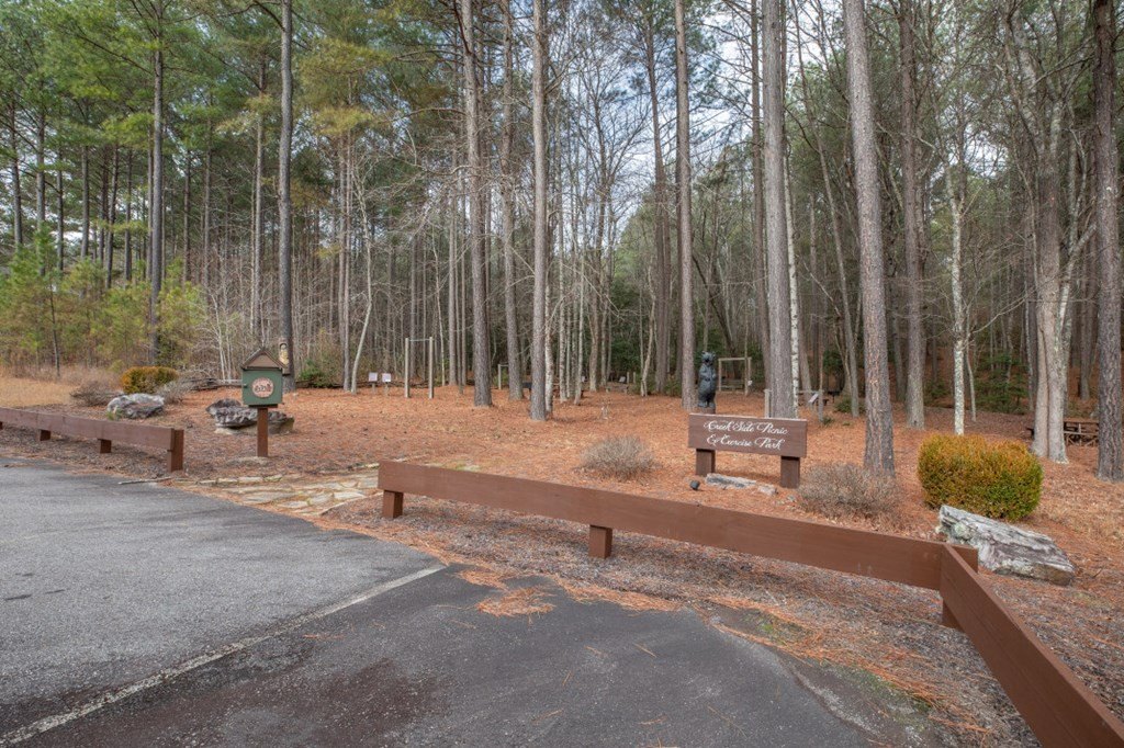 Other - Lot 370 Thirteen Hundred, Blairsville, GA
