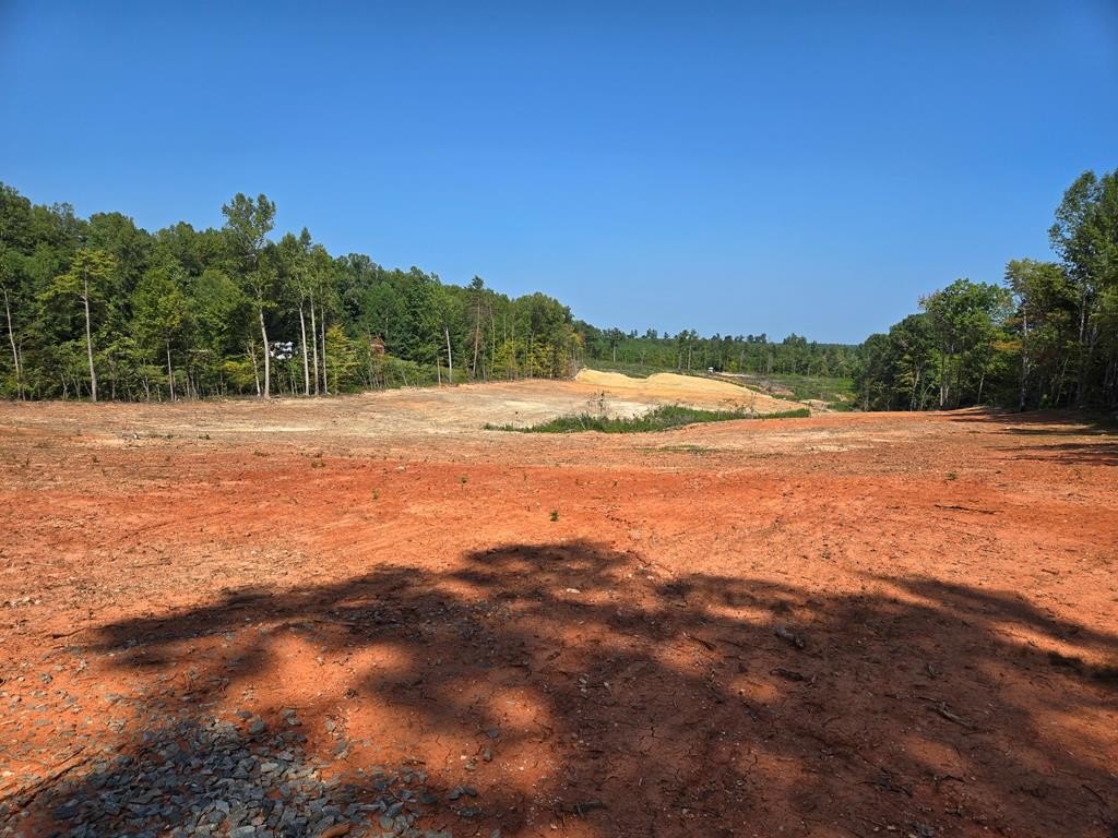 Other - Farmville Rd, Meherrin, VA