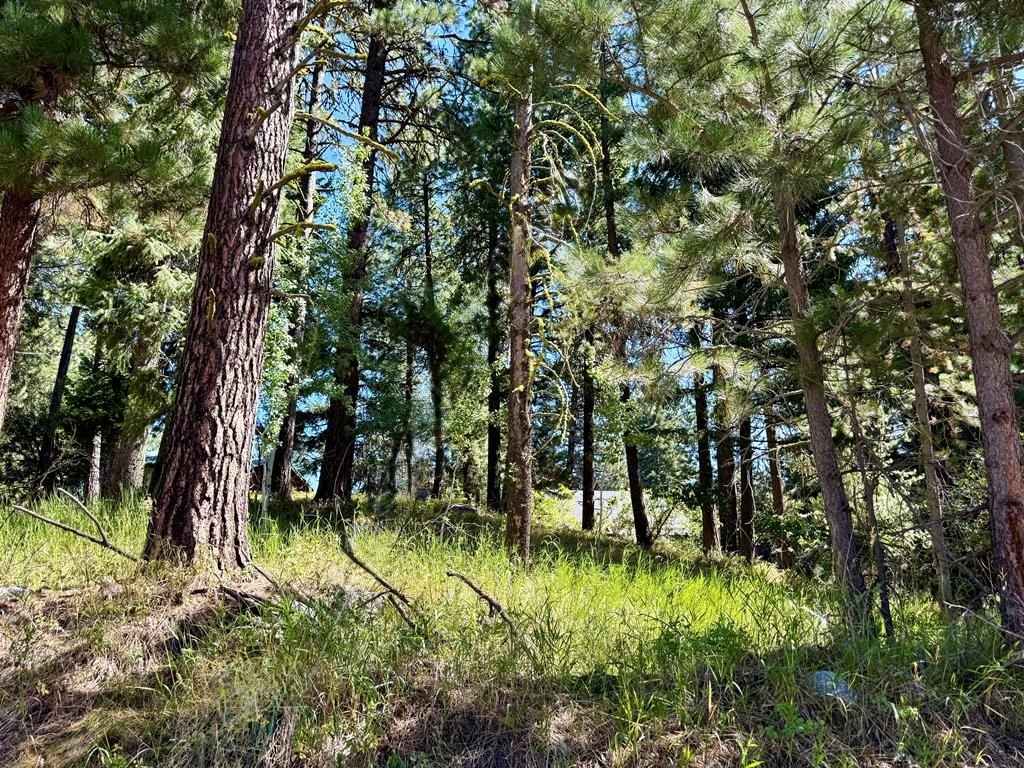 Other - 699 N Samson Trail, McCall, ID