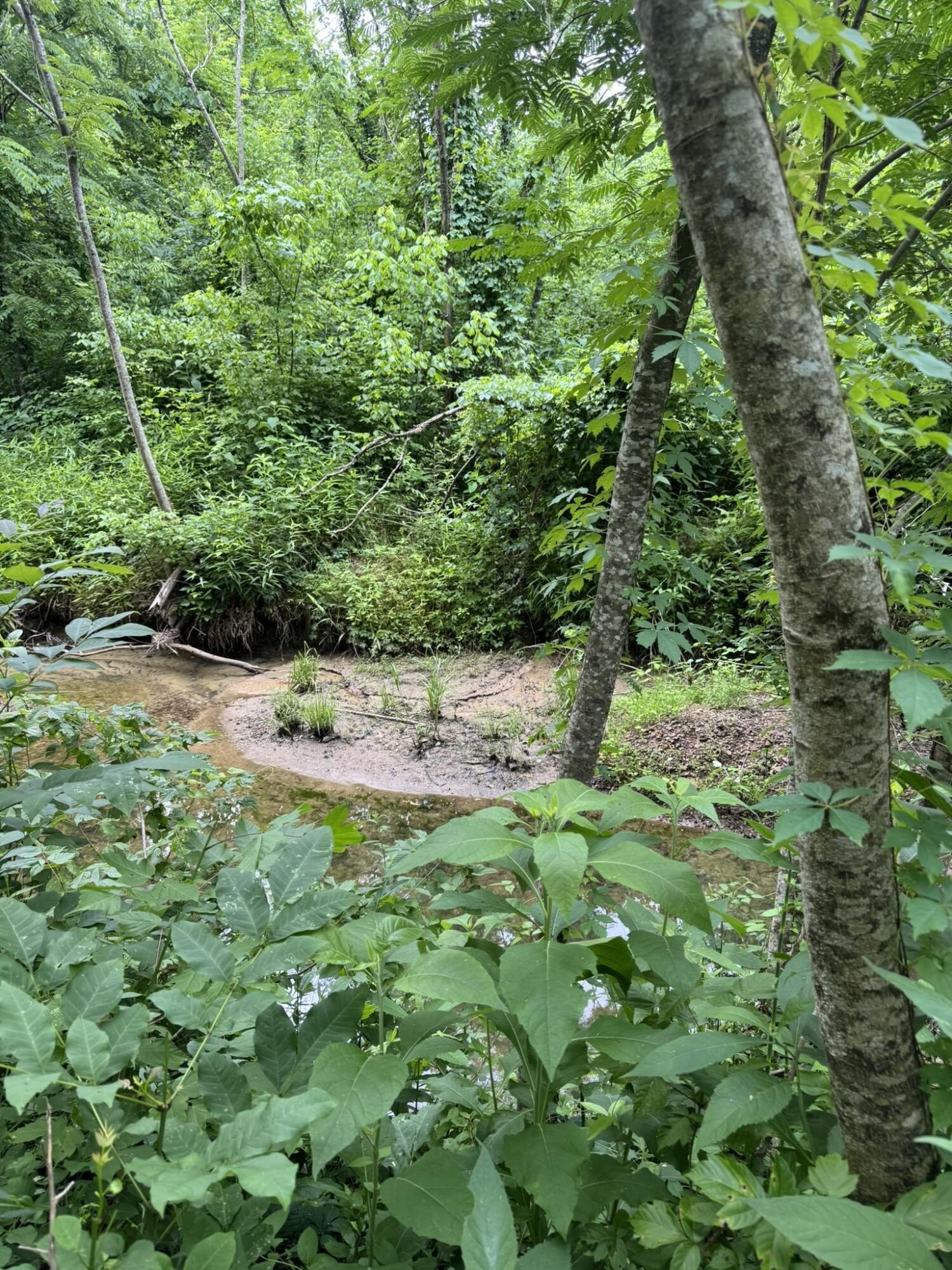 Other - Geeville Road, Dumas, MS