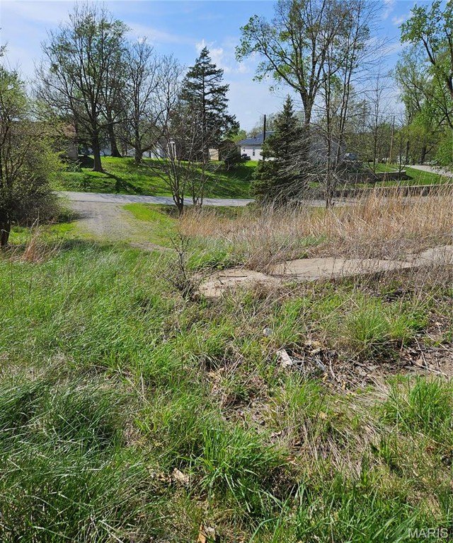 Other - 1716 D St., Hannibal, MO