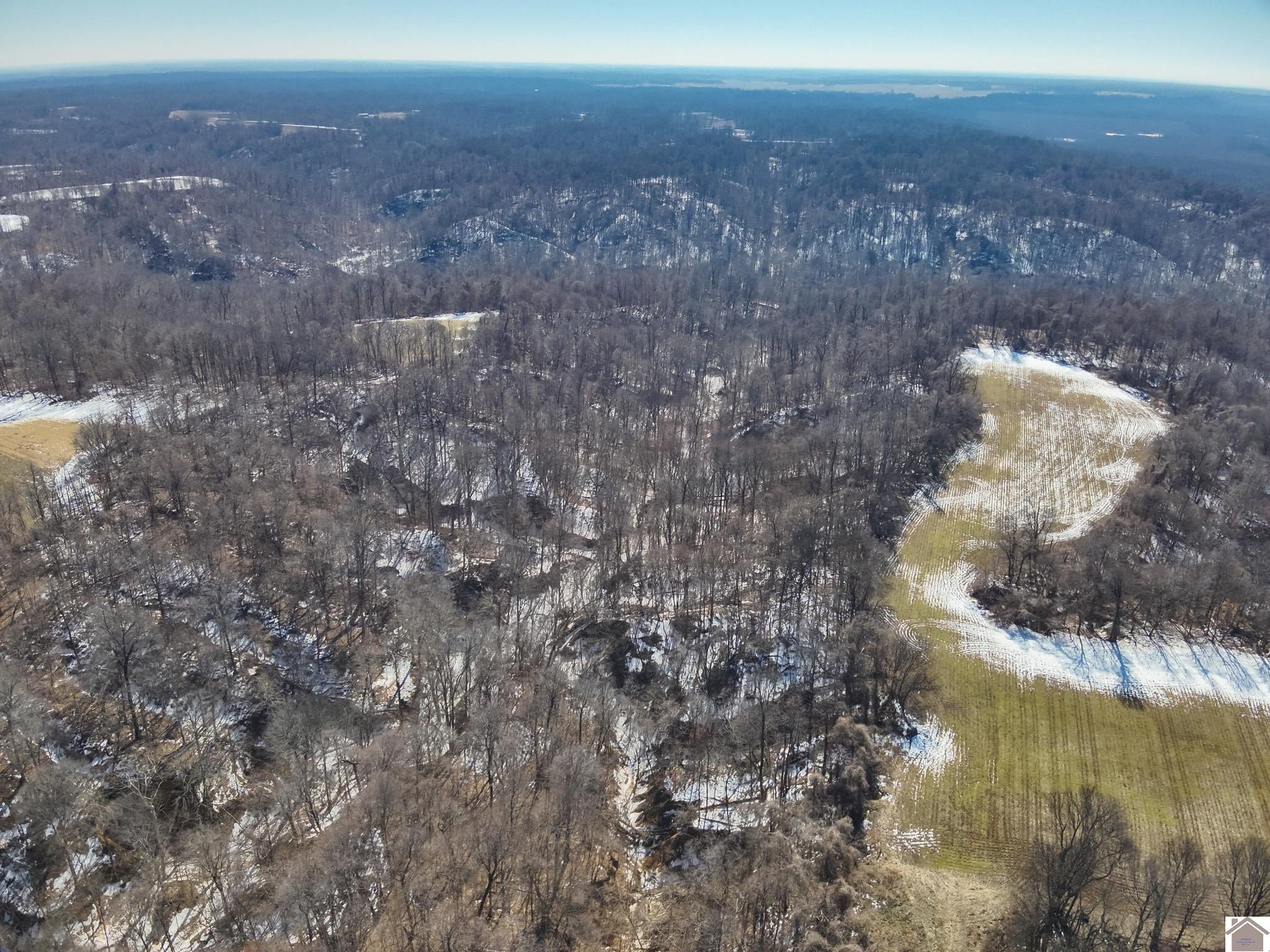 Other - Sandy Branch Road, Bardwell, KY