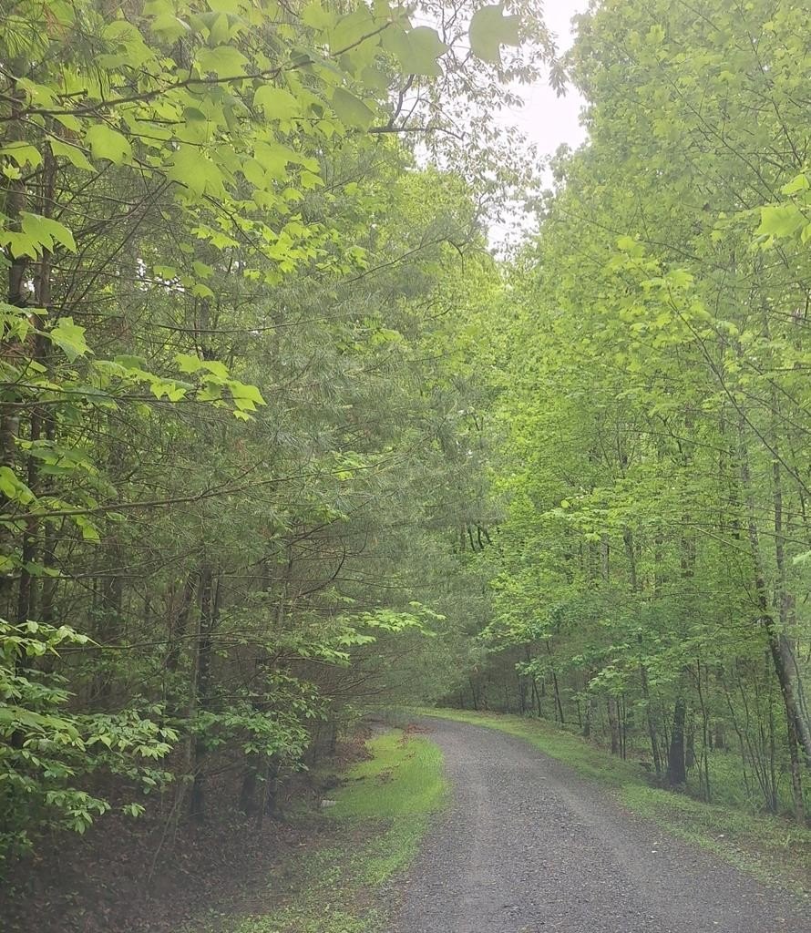 Other - Lot 14 Noontootla Ridge Court, Blue Ridge, GA