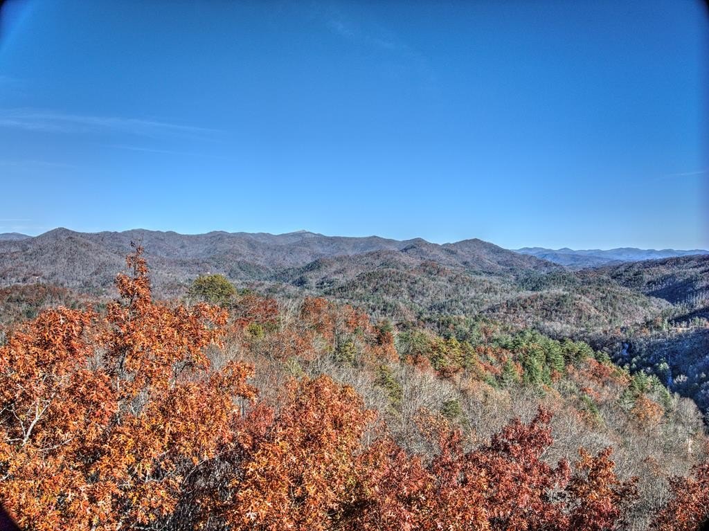 Other - 324 Little Bear Rd lot: 3, Bryson City, NC