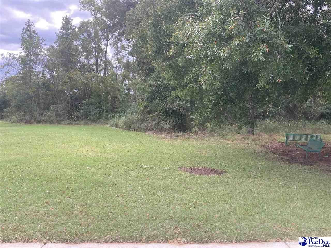 Manufactured Housing - Main Street, Sellers, SC