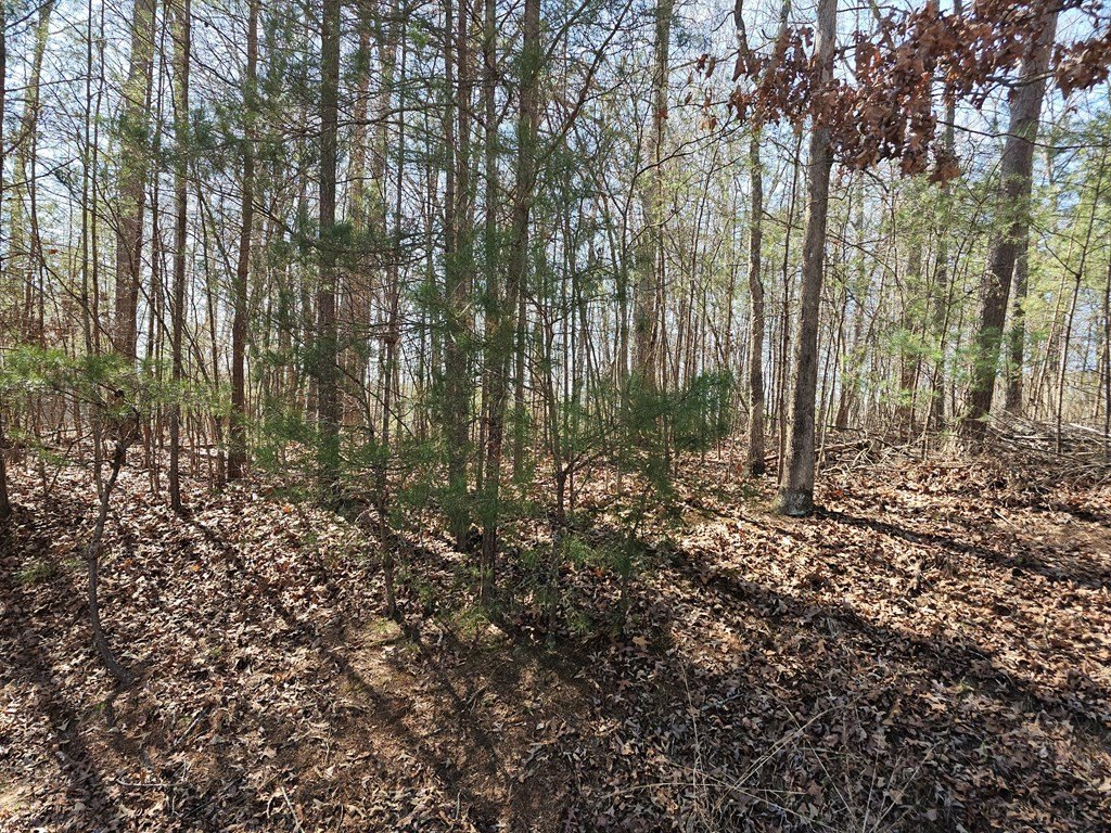 Other - Lot 39 Farmers Circle, Mineral Bluff, GA
