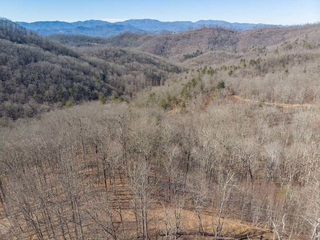 Other - Highlands Pass Trail, Franklin, NC