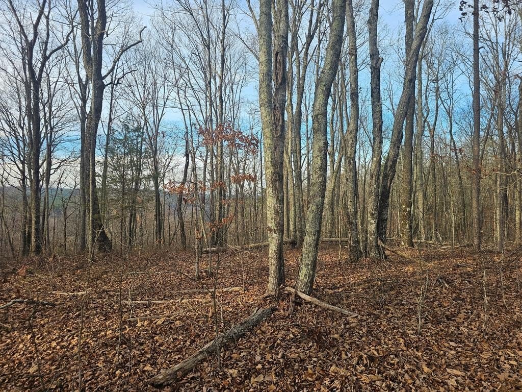 Other - 029003.0 Smith Mountain, Dunlap, TN