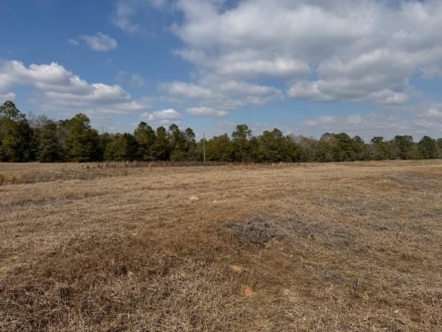 Single Family - 0 County Road 6, Black, AL