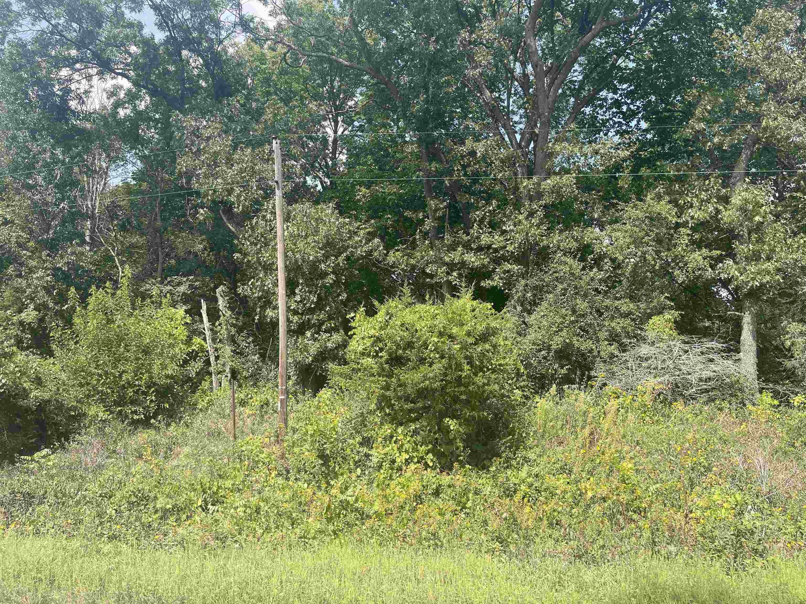 Other - Hwy 81,Carroll LOTS, Orfordville, WI