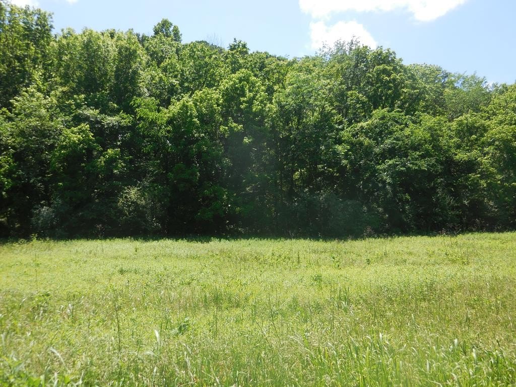 Other - Hopkins Hollow, GAINESBORO, TN