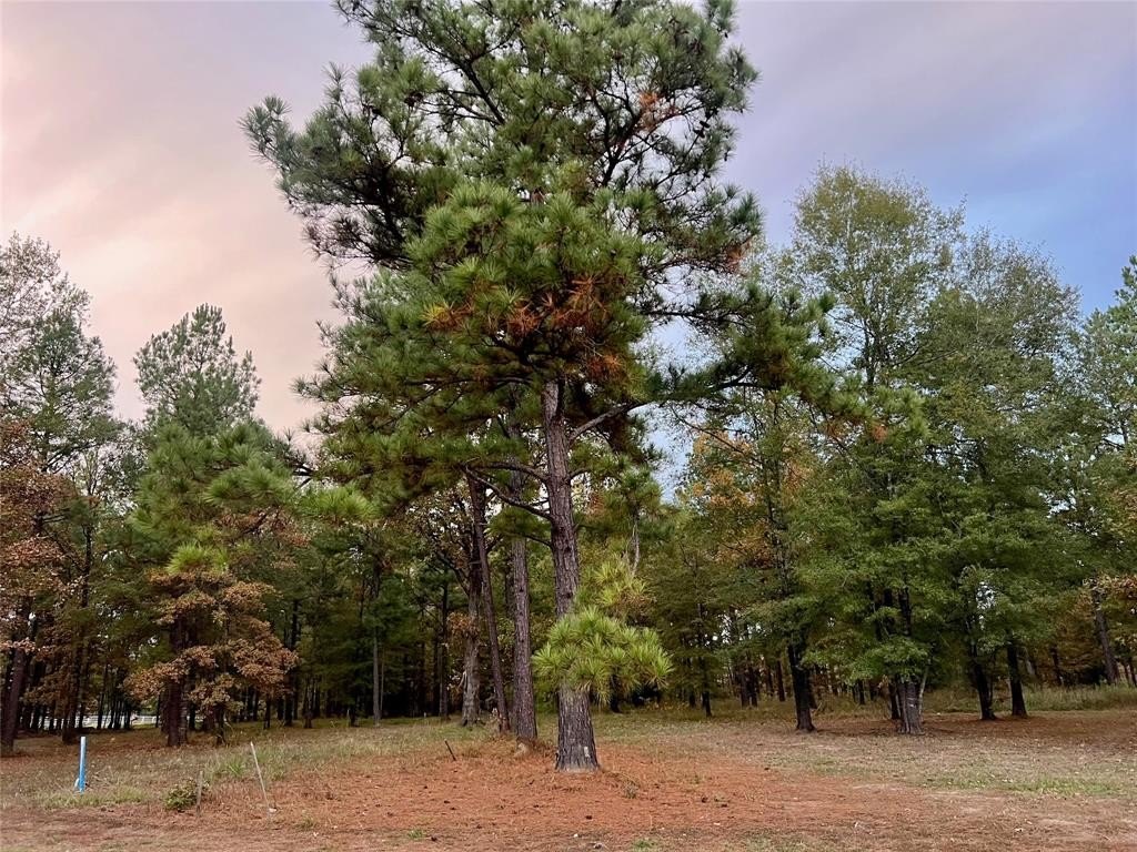 Other - 0 Lochinvar Lane, Shreveport, LA