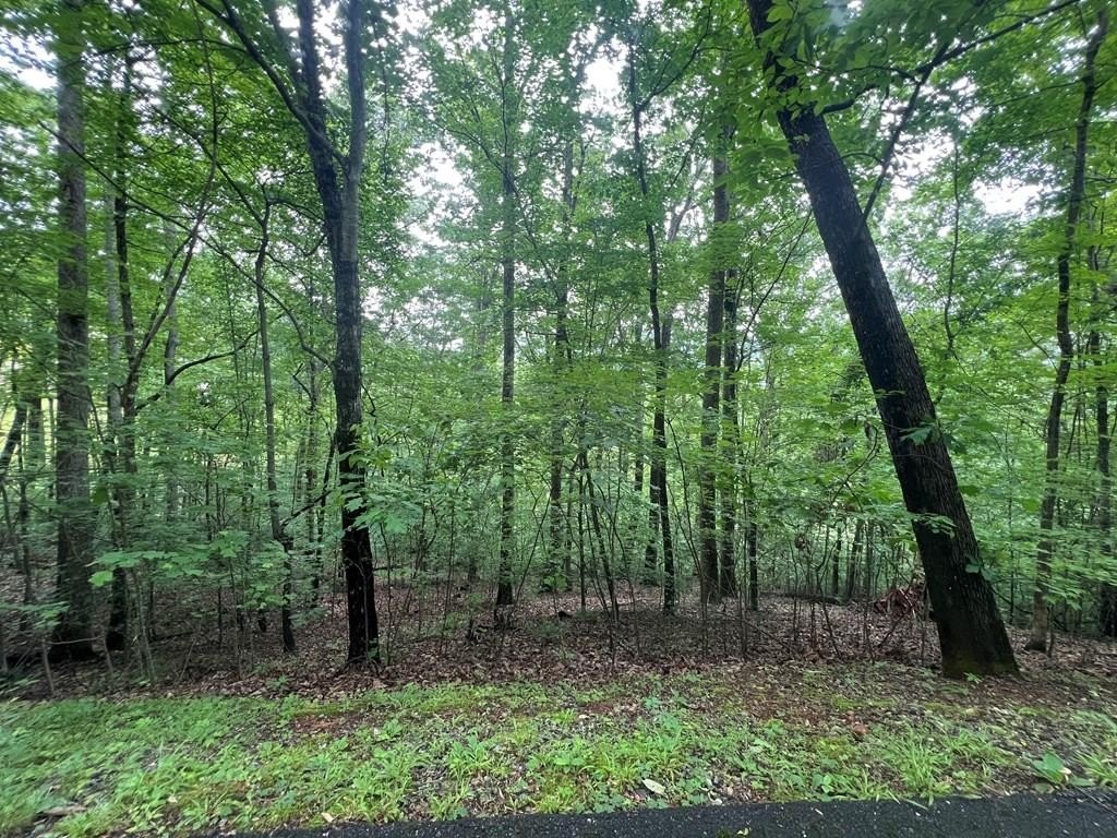 Other - 0 Ash Branch Circle, HAYESVILLE, NC