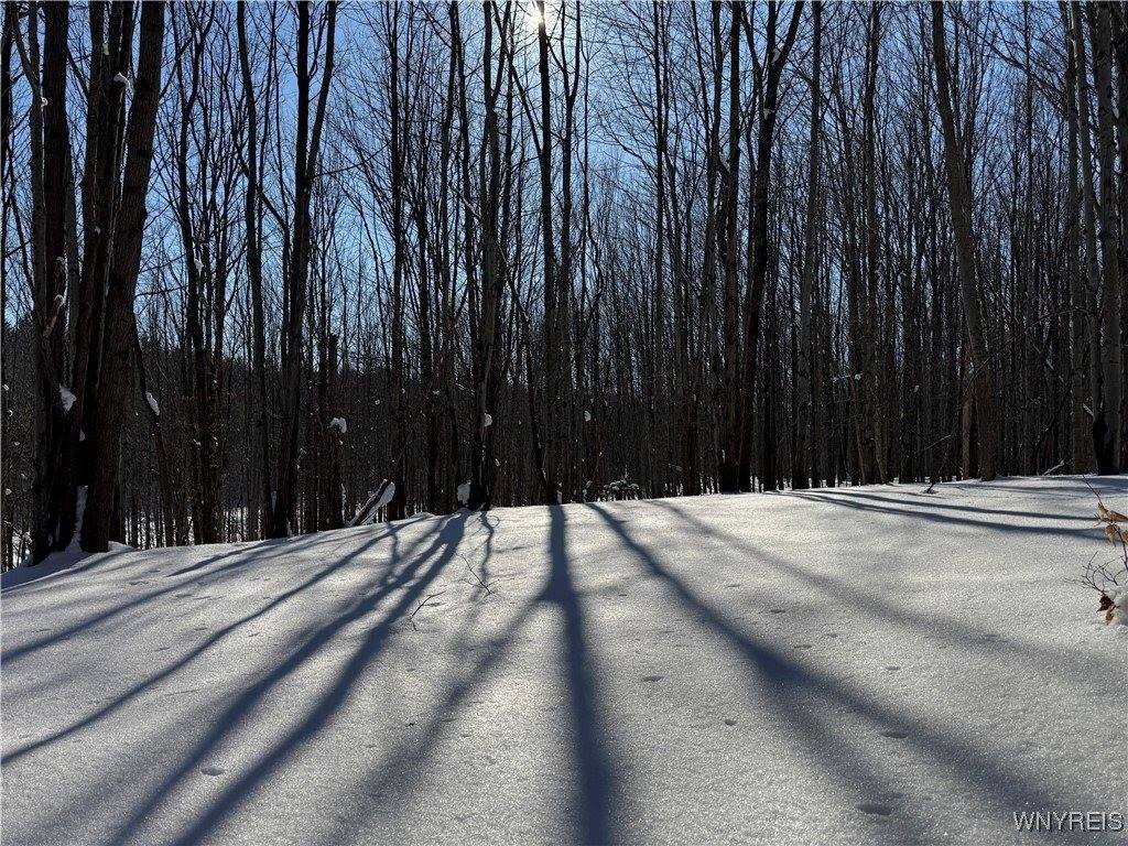 Other - 10934 Harlow Rd Road, Darien, NY