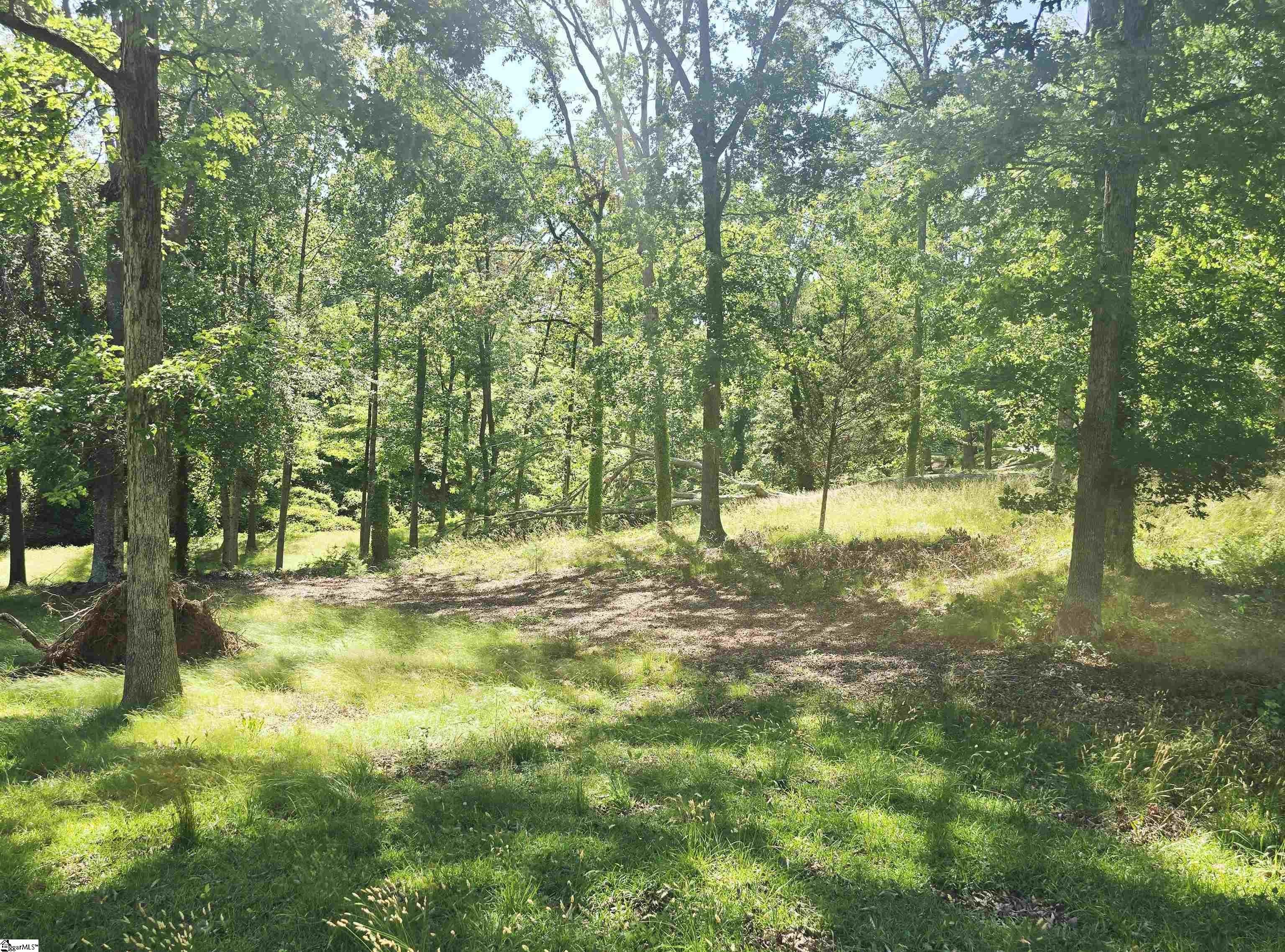 Other - 00 Memorial Drive Extension, Greer, SC