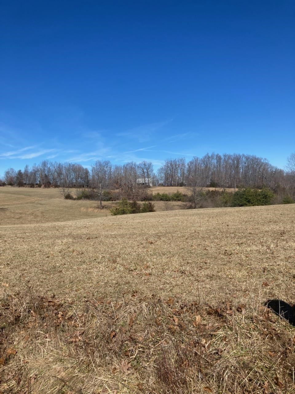 Other - Lot 10g RIFES FORD RD, VERONA, VA