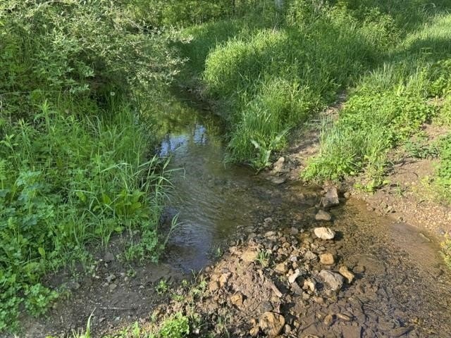Other - Byrd's Creek Road, Blue River, WI