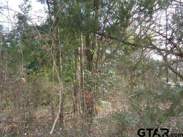 Other - TBD CR 4870, Winnsboro, TX