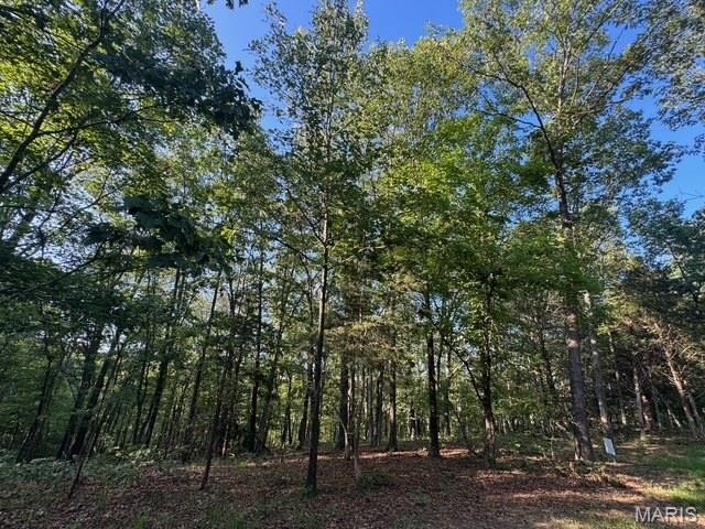 Other - 130 Steeple Point Dr. Lot #12, Defiance, MO