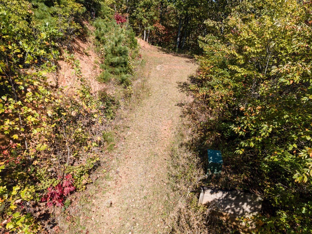 Other - Lyle Mountain Trail lot: 71, Franklin, NC