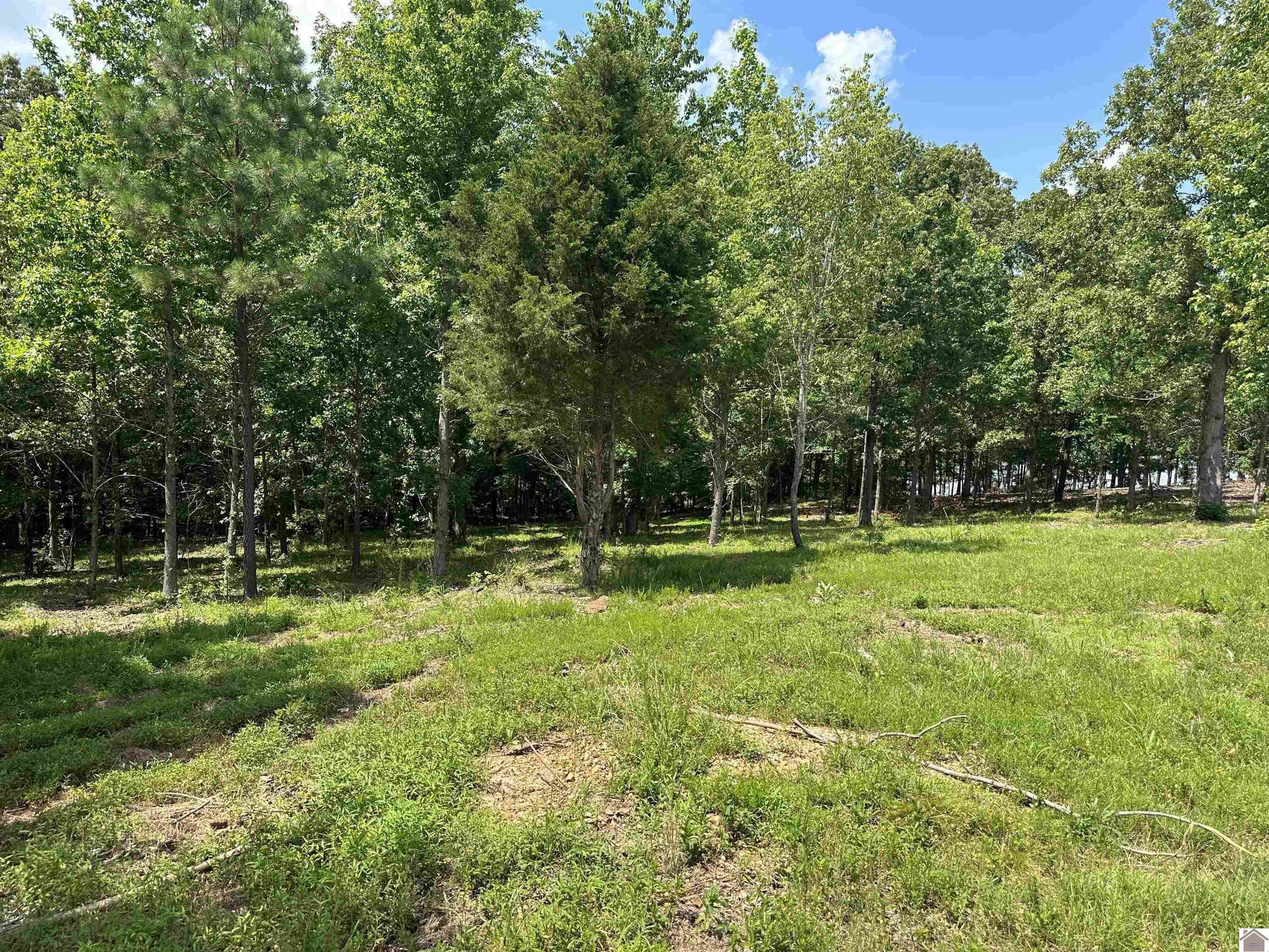 Other - Lot 7 Tradition Dr, Benton, KY