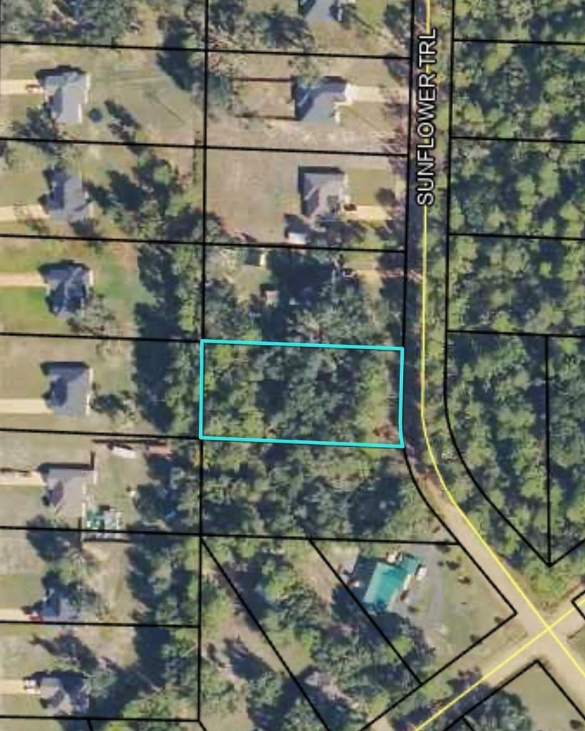 Single Family - Lot 19 Sunflower Trail, Quitman, GA