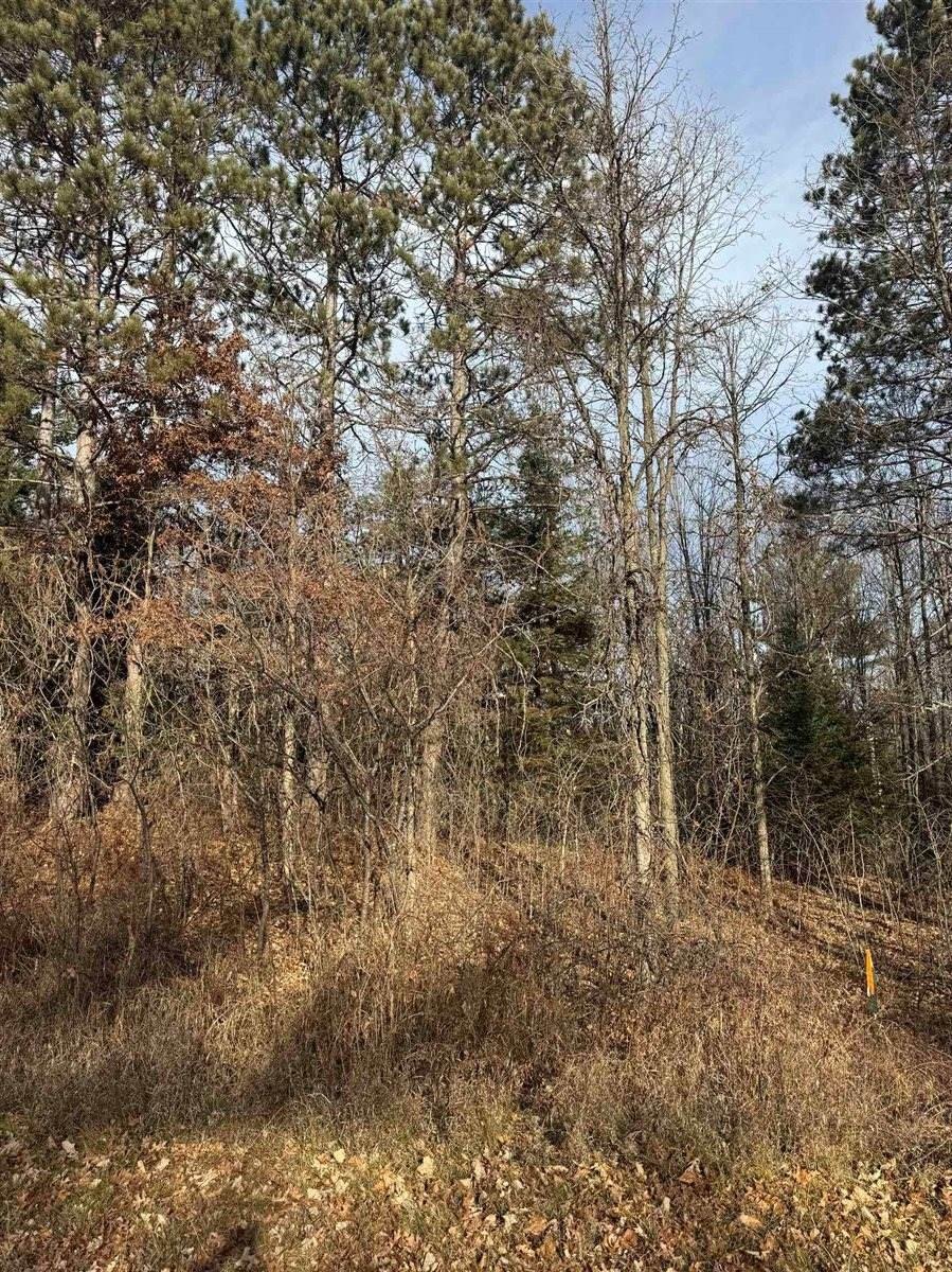 Other - Airport Road, Crivitz, WI