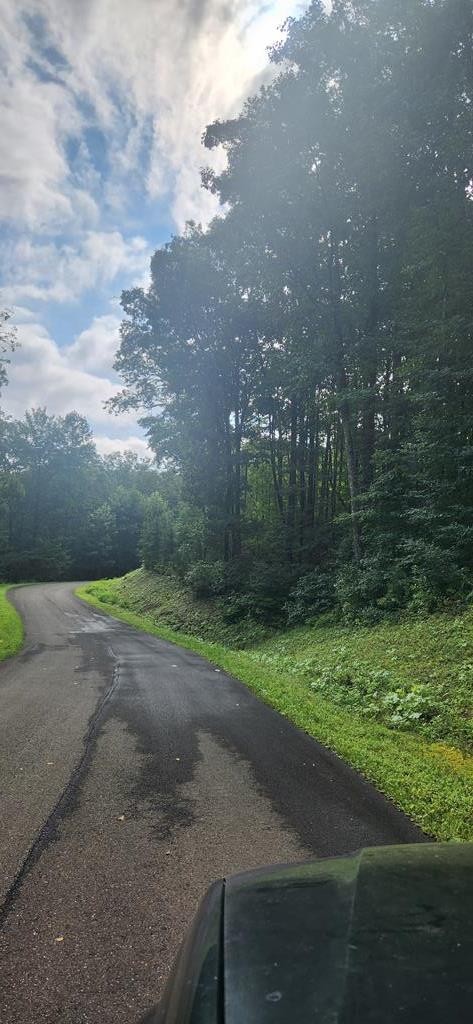 Other - Lt175 Trailwood Drive, Ellijay, GA